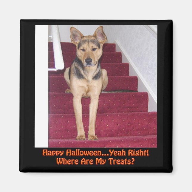 Halloween German Shepherd Dog No Treats Magnet (Front)