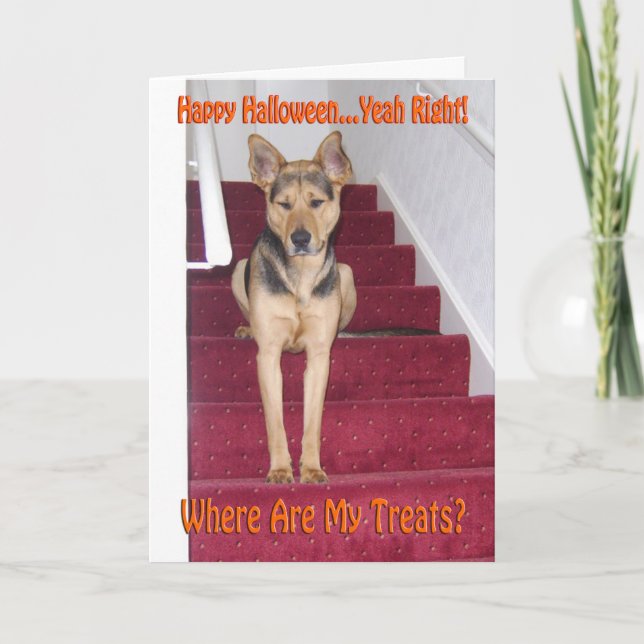 Halloween German Shepherd Dog Sad No Treats Holiday Card (Front)
