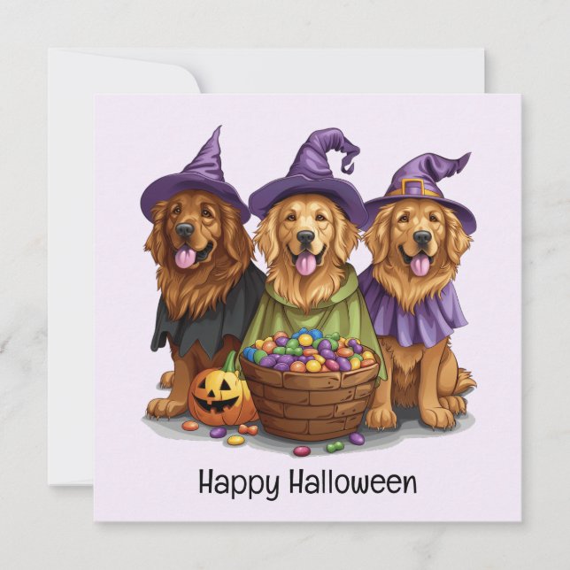 Halloween Golden Retriever Witch Dogs Invitation (Front)