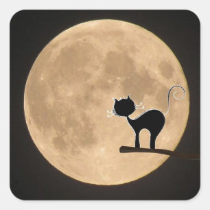 Halloween gothic black cat with full moon square sticker