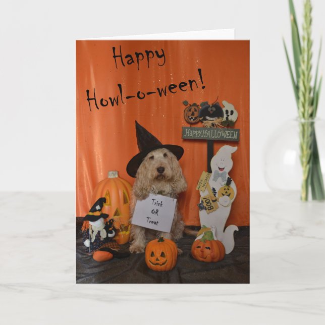 Halloween Greetings Card (Front)