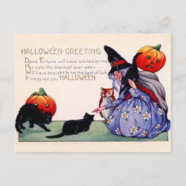 Halloween greetings from the Witch, Owl and Cats Postcard (Front)