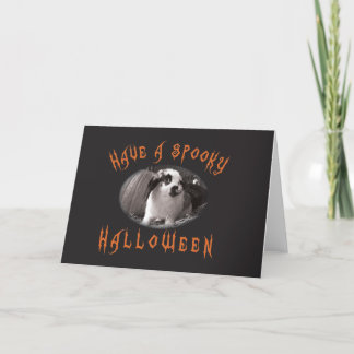 Halloween Greetings with Rabbit Card