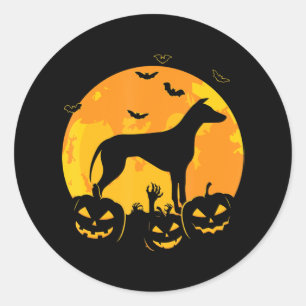 Halloween Greyhound Jack Lantern Puppy Pumpkin Classic Round Sticker