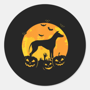 halloween greyhound jack lantern puppy pumpkin classic round sticker