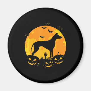 halloween greyhound jack lantern puppy pumpkin magnet