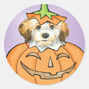 Halloween Havanese Classic Round Sticker