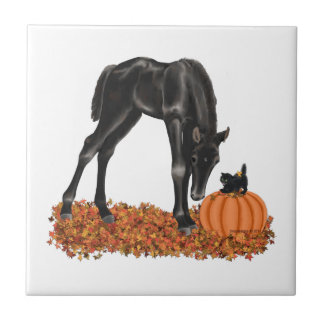 Halloween Horse Colt Kitty Tile