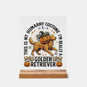 Halloween Human Costume Golden Retriever Pumpkin W Acrylic Sign