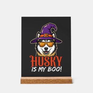 Halloween Husky Is My Boo Witch Hat Acrylic Sign