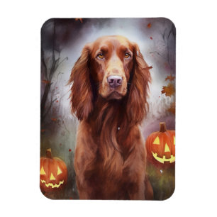 Halloween Irish Red Setter With Pumpkins Scary  Magnet