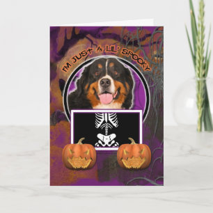 Halloween -Just a Lil Spooky -Bernese Mountain Dog Card
