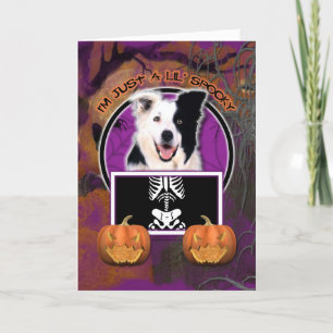 Halloween - Just a Lil Spooky - Border Collie Card