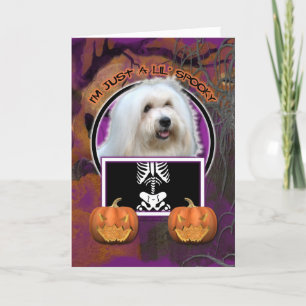 Halloween - Just a Lil Spooky - Coton de Tulear Card
