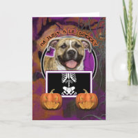 Halloween - Just a Lil Spooky - Pitbull - Tigger