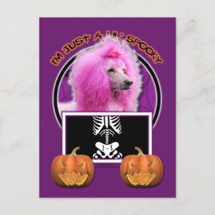 Halloween - Just a Lil Spooky - Poodle - Pink Postcard