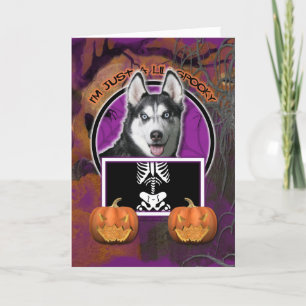 Halloween - Just a Lil Spooky - Siberian Husky Card