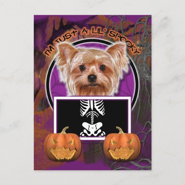 Halloween - Just a Lil Spooky - Yorkie Postcard (Front)