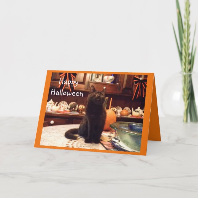 Halloween Kitten Greeting Card (Front)