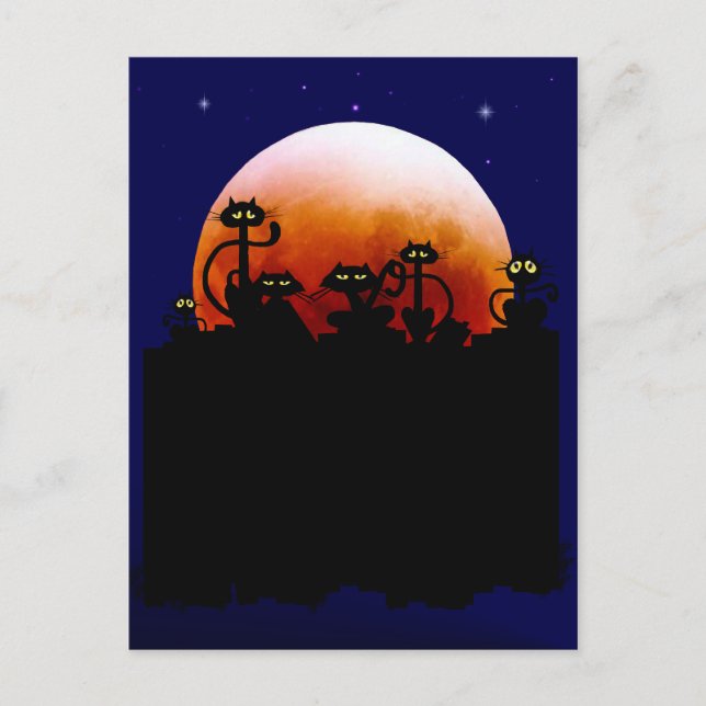 Halloween Kitties and Halloween Moon Postcard (Front)