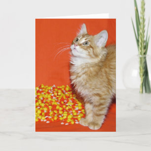 Halloween kitty card