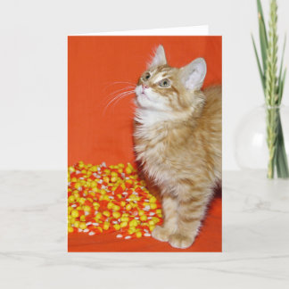 Halloween kitty card
