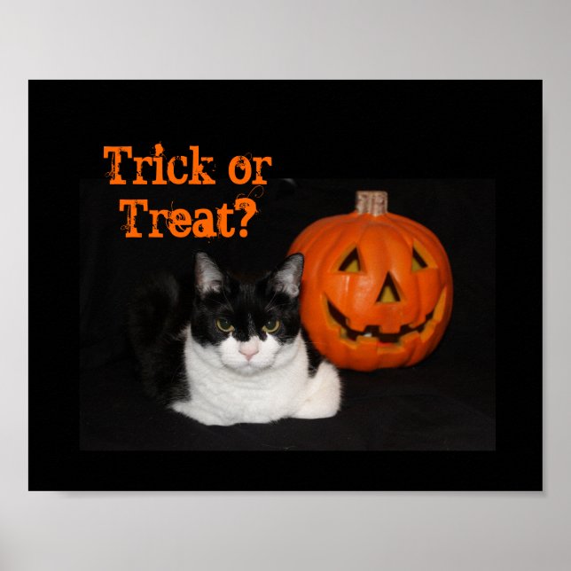 Halloween Kitty Poster (Front)