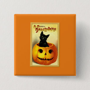 Halloween Kitty Sitting in Jack O Lantern 15 Cm Square Badge