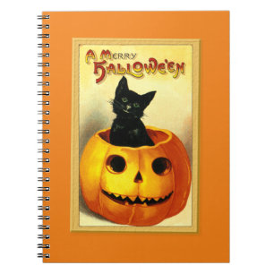 Halloween Kitty Sitting in Jack O Lantern Notebook