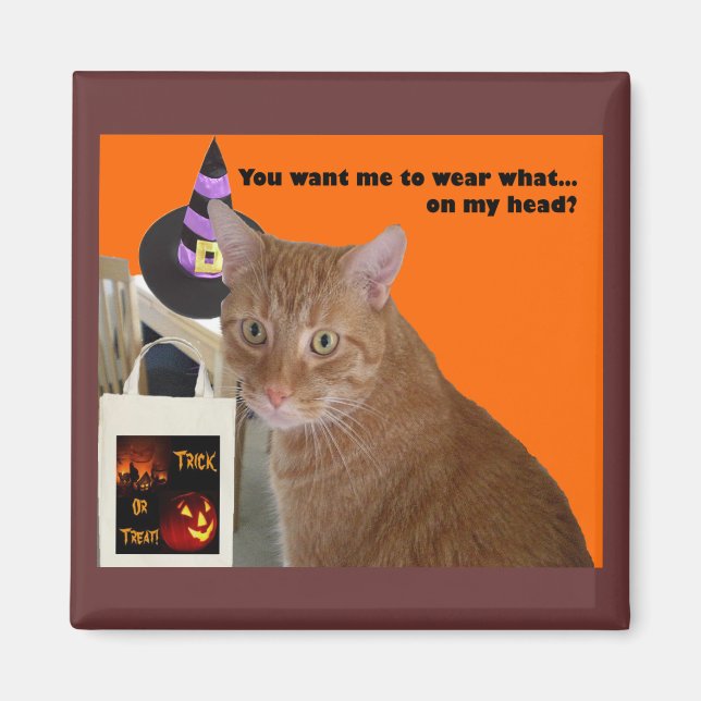 Halloween Kitty - Wear What Magnet (Front)