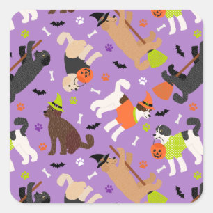 Halloween Labradoodle / Goldendoodle Square Sticke Sticker