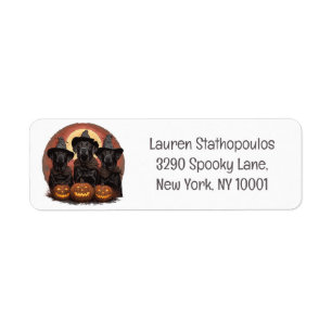 Halloween Labrador Retriever Dogs Witch Hats