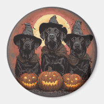 Halloween Labrador Retriever Dogs Witch Hats