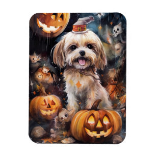 Halloween Lhasa Apso With Pumpkins Scary  Magnet