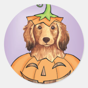 Halloween Longhaired Dachshund Classic Round Sticker