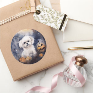 Halloween Maltese With Pumpkins Scary  Classic Round Sticker