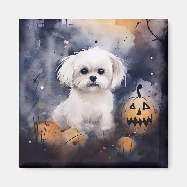 Halloween Maltese With Pumpkins Scary  Magnet (Front)