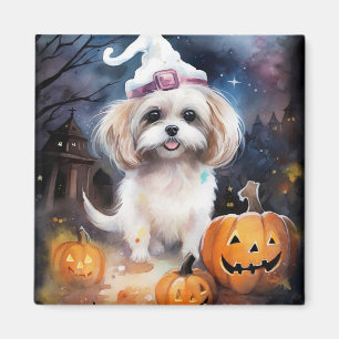 Halloween Malti Tzu With Pumpkins Scary  Magnet