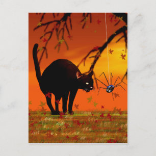 Halloween Meeting - Black Cat and Spider Postcard