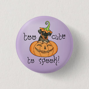 Halloween Min Pin