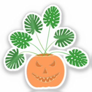 Halloween Monstera Plant in Pumpkin