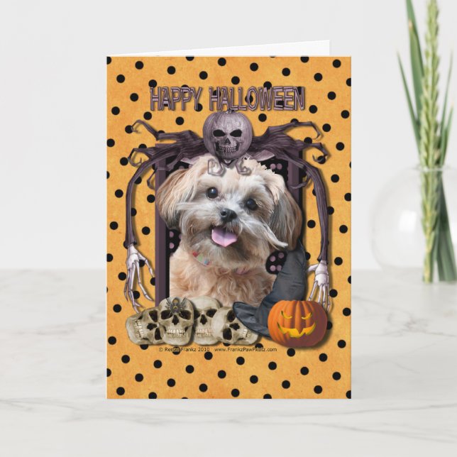 Halloween Nightmare - ShihPoo - Maggie Card (Front)