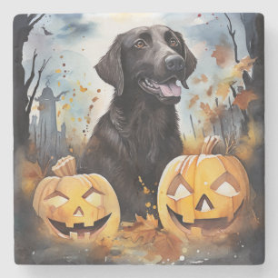 Halloween Nova Scotia With Pumpkins Scary  Stone Coaster