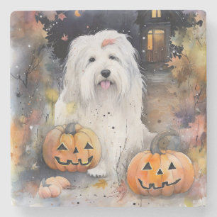 Halloween Old English Sheepdog With Pumpkins Scary Stone Coaster