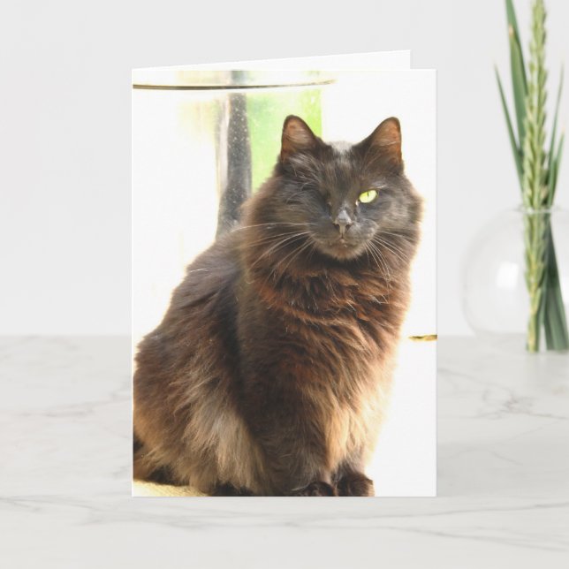 Halloween-One Eyed Black Cat Card (Front)