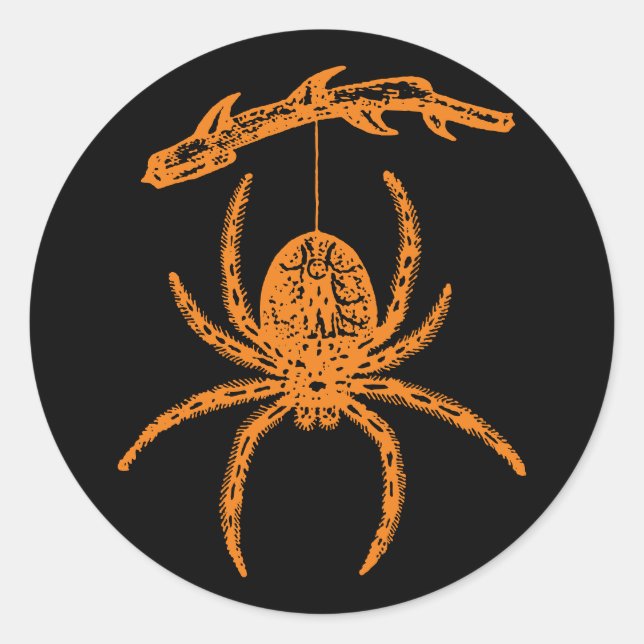 Halloween Orange Spider Classic Round Sticker (Front)