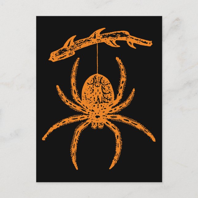 Halloween Orange Spider Postcard (Front)
