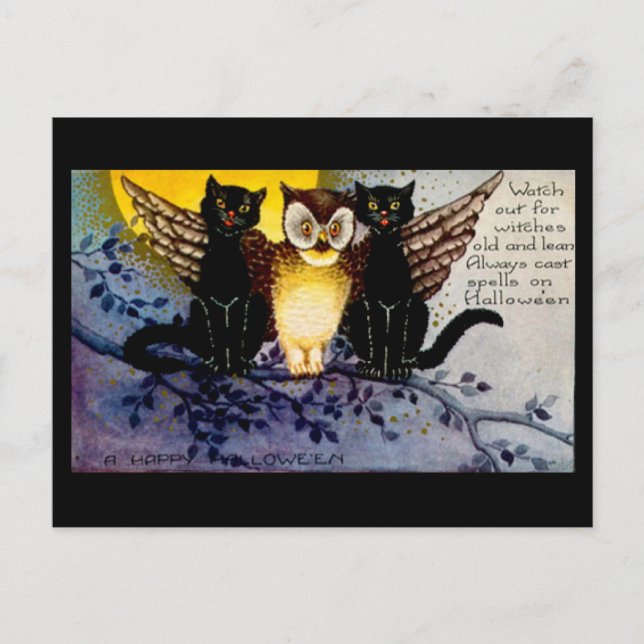 Halloween Owl and Black Cats Postcard (Front)
