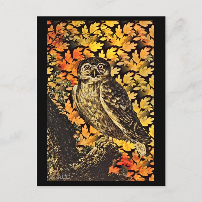 Halloween Owl Autumn Foliage Postcard (Front)