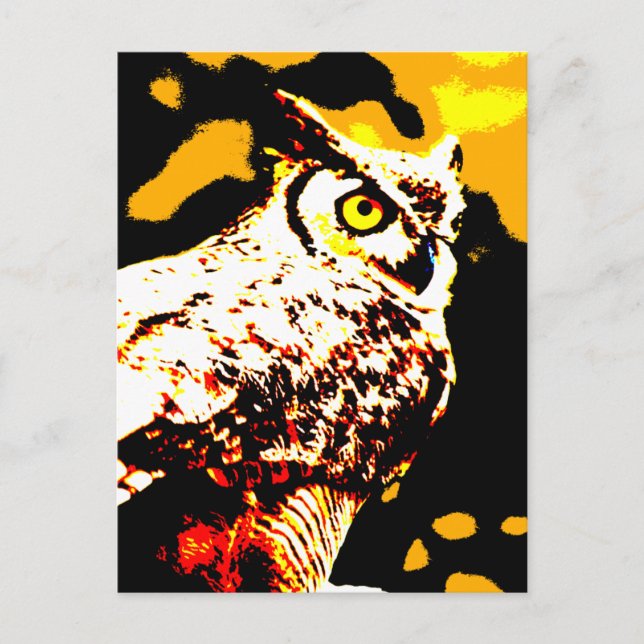 Hallowe'en Owl Postcard (Front)